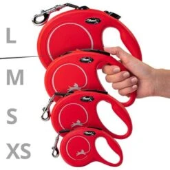 Correa Extensible Flexi New Classic Con Cinta De 5 M -Mascotas Artículos Tienda 198003 flexi new classic gurt leine s schwarz hs4 3