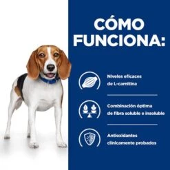 Hill's R/d Prescription Diet Weight Loss Comida Húmeda Para Perros 17 Hill's R/d Prescription Diet Weight Loss Comida Húmeda Para Perros -Mascotas Artículos Tienda 1 pd rd dog bk24536m bk27973 how works es 6