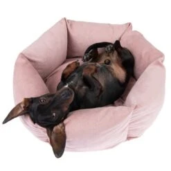 Cama Manila Para Mascotas -Mascotas Artículos Tienda 235399 hundebett manila fg 0288 2