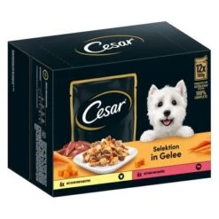 Cesar Selección Carne Con Verduras En Gelatina