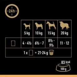 Cesar Selección Carne Con Verduras En Gelatina 7 Cesar Selección Carne Con Verduras En Gelatina -Mascotas Artículos Tienda 250998 mars cesar selektion fleisch gemuesegelee hs 08 6