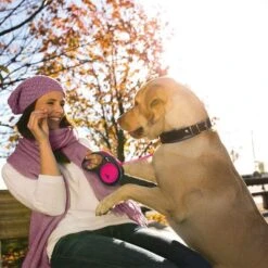 Mascotas Artículos Tienda -Mascotas Artículos Tienda 252321 flexi new neon gurt leine pink medium 5m hs 08 0