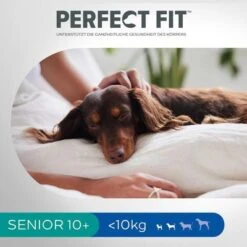 Perfect Fit Senior Small Dogs (<10 Kg) Pienso Para Perros -Mascotas Artículos Tienda 255596 perfectfit senior hund 6kg hs 09 0