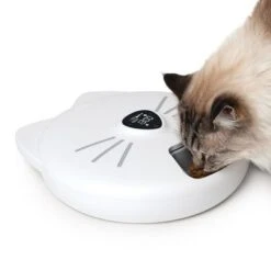 Comedero Automático Catit Pixi Smart 6-Meal 23 Comedero Automático Catit Pixi Smart 6-Meal -Mascotas Artículos Tienda 287496 hagencontainer catit pixi smart 6meal futterautomat hs 11 2