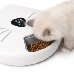 Comedero Automático Catit Pixi Smart 6-Meal 31 Comedero Automático Catit Pixi Smart 6-Meal -Mascotas Artículos Tienda 287496 hagencontainer catit pixi smart 6meal futterautomat hs 12 6