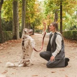 Correa Nomad Tales Blush Vino Para Perros 21 Correa Nomad Tales Blush Vino Para Perros -Mascotas Artículos Tienda 325600 325601 nomadtales blush hundeleine rose hs 07 4