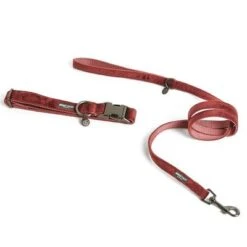 Correa Nomad Tales Blush Vino Para Perros 30 Correa Nomad Tales Blush Vino Para Perros -Mascotas Artículos Tienda 325600 325601 pla nomadtales blush hundeleine rose hs 01 0