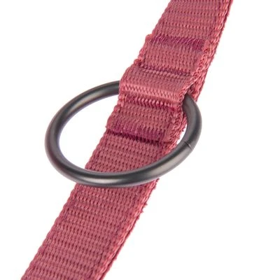 Correa Nomad Tales Blush Vino Para Perros 12 Correa Nomad Tales Blush Vino Para Perros - Imagen 12