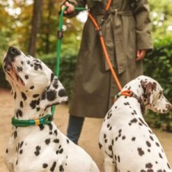 Mascotas Artículos Tienda -Mascotas Artículos Tienda 329007 nomad tales spirit leinen halsbaender 02 7