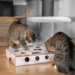 Canadian Cat Company MagicBox Juego De Inteligencia Para Gatos 19 Canadian Cat Company MagicBox Juego De Inteligencia Para Gatos -Mascotas Artículos Tienda 346599 canadiancat company intelligenzspielzeug magicbox hs 13 9