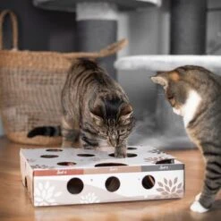 Canadian Cat Company MagicBox Juego De Inteligencia Para Gatos 23 Canadian Cat Company MagicBox Juego De Inteligencia Para Gatos -Mascotas Artículos Tienda 346599 canadiancat company intelligenzspielzeug magicbox hs 16 0