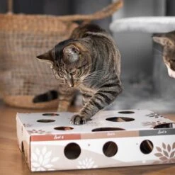 Canadian Cat Company MagicBox Juego De Inteligencia Para Gatos 28 Canadian Cat Company MagicBox Juego De Inteligencia Para Gatos -Mascotas Artículos Tienda 346599 canadiancat company intelligenzspielzeug magicbox hs 18 2