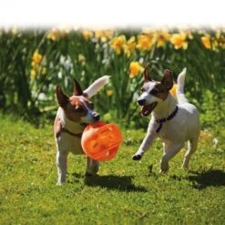 KONG Jumbler Pelota Para Perros -Mascotas Artículos Tienda 439783 kong jumbler im einsatz 1