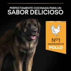 PURINA PRO PLAN Large Robust Adult Everyday Nutrition -Mascotas Artículos Tienda 44142559 es es 221230 1 0