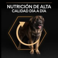PURINA PRO PLAN Large Robust Adult Everyday Nutrition -Mascotas Artículos Tienda 44142559 es es 221230 1 3 6
