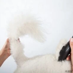 Máquina Cortapelo Moser Max50 29 Máquina Cortapelo Moser Max50 -Mascotas Artículos Tienda 465281 schermaschine moser max 50 02 0