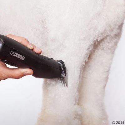 Máquina Cortapelo Moser Max50 13 Máquina Cortapelo Moser Max50 - Imagen 13