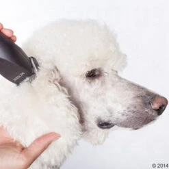 Máquina Cortapelo Moser Max50 28 Máquina Cortapelo Moser Max50 -Mascotas Artículos Tienda 465281 schermaschine moser max 50 05 4