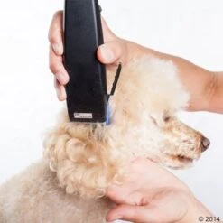 Máquina Cortapelo Moser Rex -Mascotas Artículos Tienda 465375 schermaschine moser rex 03 5