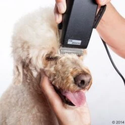 Máquina Cortapelo Moser Rex -Mascotas Artículos Tienda 465375 schermaschine moser rex 04 0