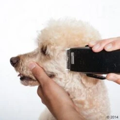 Máquina Cortapelo Moser Rex -Mascotas Artículos Tienda 465375 schermaschine moser rex 05 2