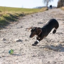 Zapatos Para Perros S & P Boots 16 Zapatos Para Perros S & P Boots -Mascotas Artículos Tienda 52149 hundeschuhe xs fg 0967 9