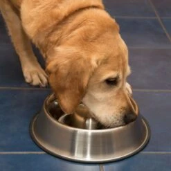 Comedero Antivoracidad De Acero Para Perros -Mascotas Artículos Tienda 66349 antischlingnapf fg 1011 1