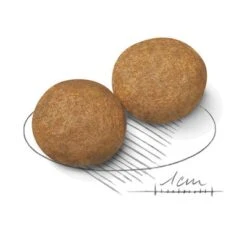 Royal Canin Medium Adult -Mascotas Artículos Tienda 80731 royalcanin mediumadult 15kg croc hs 02 7