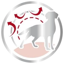 Royal Canin Medium Adult -Mascotas Artículos Tienda 80731 royalcanin mediumadult 15kg picto hs 03 6