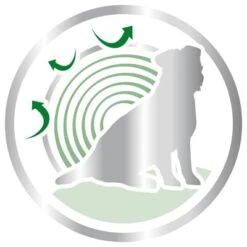 Royal Canin Mini Ageing +12 7 Royal Canin Mini Ageing +12 -Mascotas Artículos Tienda 80736 royalcanin miniageing 12plus 3 5kg picto hs 03 0