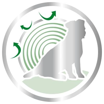 Royal Canin Mini Ageing +12 4 Royal Canin Mini Ageing +12 - Imagen 4