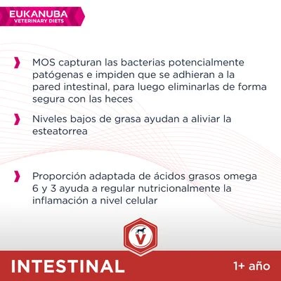 Eukanuba VETERINARY DIETS Intestinal Pienso Para Perros 4 Eukanuba VETERINARY DIETS Intestinal Pienso Para Perros - Imagen 4