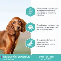 Eukanuba Daily Care Puppy Sensitive Digestion Con Pollo Y Pavo -Mascotas Artículos Tienda 8710255185088 2 4