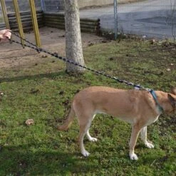 Mascotas Artículos Tienda -Mascotas Artículos Tienda 89141 juliusk9 idcropeleash hs 05 9