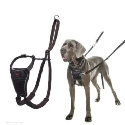Halti Arnés Antitirada Non-Pull Harness Para Perros -Mascotas Artículos Tienda 92496 92497 halti front control trainingsgeschirr hs 05 0