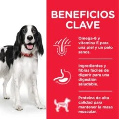 Mascotas Artículos Tienda -Mascotas Artículos Tienda atf8 604222 key benefits 4