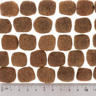 Pack Ahorro: 2 X 12 Kg Wolf Of Wilderness The Taste Of 5 Pack Ahorro: 2 X 12 Kg Wolf Of Wilderness The Taste Of - Imagen 5