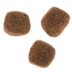 Wolf Of Wilderness The Taste Of Scandinavia 15 Wolf Of Wilderness The Taste Of Scandinavia -Mascotas Artículos Tienda dsc2634 0