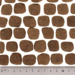 Wolf Of Wilderness The Taste Of Scandinavia 12 Wolf Of Wilderness The Taste Of Scandinavia -Mascotas Artículos Tienda dsc2637 5