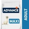 Advance Maxi Adult Con Pollo Y Arroz