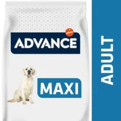 Advance Maxi Adult Con Pollo Y Arroz