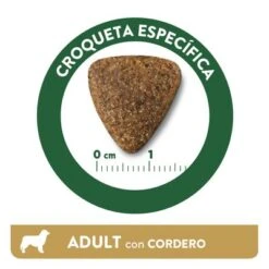 Affinity Libra Adult Con Cordero Pienso Para Perros -Mascotas Artículos Tienda kibble libra dog adult lamb es 0