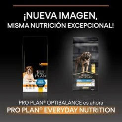 PURINA PRO PLAN Large Robust Adult Everyday Nutrition -Mascotas Artículos Tienda lr 14 4