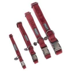 Collar Nomad Tales Blush Vino Para Perros 30 Collar Nomad Tales Blush Vino Para Perros -Mascotas Artículos Tienda nomad tales blush halsbaender fg 1317 0