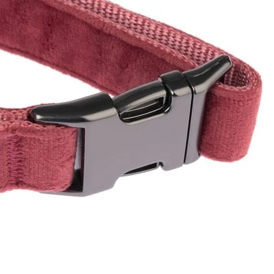 Collar Nomad Tales Blush Vino Para Perros 7 Collar Nomad Tales Blush Vino Para Perros - Imagen 7