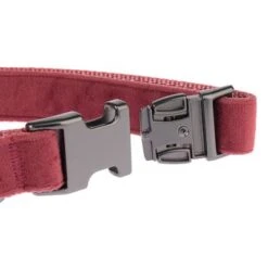 Collar Nomad Tales Blush Vino Para Perros 23 Collar Nomad Tales Blush Vino Para Perros -Mascotas Artículos Tienda nomad tales blush halsbaender fg 1323 7