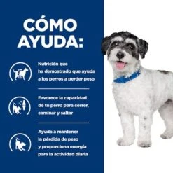 Hill's Metabolic + Mobility Mini Prescription Diet Pienso Para Perros -Mascotas Artículos Tienda pd metabolic mobility mini dog bk31838m how helps es 9