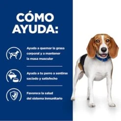 Hill's R/d Prescription Diet Weight Loss Comida Húmeda Para Perros 18 Hill's R/d Prescription Diet Weight Loss Comida Húmeda Para Perros -Mascotas Artículos Tienda pd rd dog bk24536m bk27973 how helps es 9