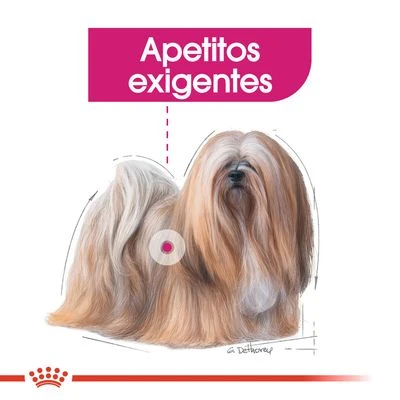 Royal Canin Mini Exigent 3 Royal Canin Mini Exigent - Imagen 3
