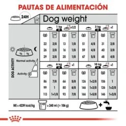 Royal Canin Mini Exigent 12 Royal Canin Mini Exigent -Mascotas Artículos Tienda rc ccn exigentmini cv eretailkit 7 es es 5